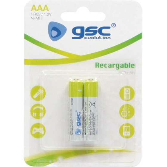 GSC �������� ���������������� Evolution Aaa 800mAh HR03 1.2V (2 ���.) - (106005006)