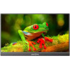 Arzopa ������ ����� 15.6'' - (A1T)