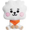 BT21 Line Friends - Plush Mascot 20 Cm Rj Baby - (61473)