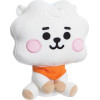 BT21 Line Friends - Plush Mascot 20 Cm Rj Baby - (61473)