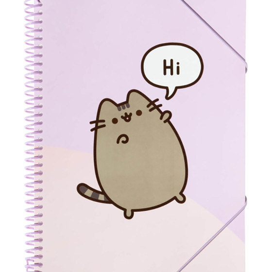 Pusheen - A4 A4 Binder With Elastic Band + 30 Transparent Shirts - (CFA405)