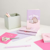 Pusheen - Set Of A6 Notebooks From The Moments Collection (3 pcs.) - (PCA6011)