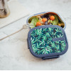 Quokka Kai - Stainless Steel Food Container / Lunchbox (Blueberry) - (40243)