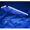 Cellularline Impact Glass - Toughened Protective Glass For Iphone 14 / Iphone 14 Pro - (TEMPGLASSIPH14)