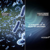 Cellularline Tetra Force Strong Guard - Samsung Galaxy S24+ Case With Microban Coating (Transparent) - (TETRACGALS24PLT)