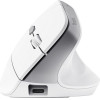 Trust Bayo Ii - Ergonomic Wireless Mouse (White) - (25398)