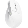 Trust Bayo Ii - Ergonomic Wireless Mouse (White) - (25398)