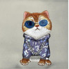 Nimmy crossbody GLASSES COOL CAT gray