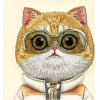 Nimmy Case COOL&Cute 2.0 Cat For Iphone 15 Pro khaki