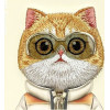 Nimmy Case COOL&Cute 2.0 Cat For Iphone 16 khaki