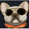 Nimmy Case Glasses Cool Dog For Iphone 16 black