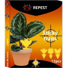 Repest Insect glue - 12 pcs. 19053 - (15997-0)