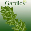 Gardlov Artificial Ivy - Garland 25.2m 19735 - (16256-0)