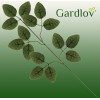 Gardlov Artificial Leaves 47cm - Set Of 12 22557 - (16871-0)
