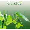 Gardlov Mesh - Plant Support 2x20m 23980 - (17661-0)