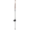 Gardlov Solar Garden Lamp - Dandelions 25477 - (18097-0)