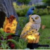 Gardlov Solar Garden Lamp - Owl 23847 - (17732-0)