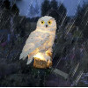 Gardlov Solar Garden Lamp - Owl 23847 - (17732-0)