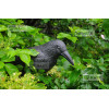 Iso Trade Bird Scarer - Raven - (5598-0)