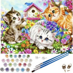 Maaleo Painting By Numbers 40x50cm - Cats 22781 - (17064-0)