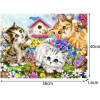 Maaleo Painting By Numbers 40x50cm - Cats 22781 - (17064-0)