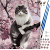 Maaleo Painting By Numbers 40x50cm- Cat 22783 - (17066-0)