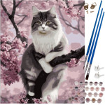 Maaleo Painting By Numbers 40x50cm- Cat 22783 - (17066-0)