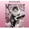 Maaleo Painting By Numbers 40x50cm- Cat 22783 - (17066-0)