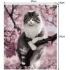 Maaleo Painting By Numbers 40x50cm- Cat 22783 - (17066-0)