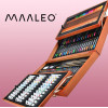 Maaleo Painting Set 174pCs In a Case - (13059-0)