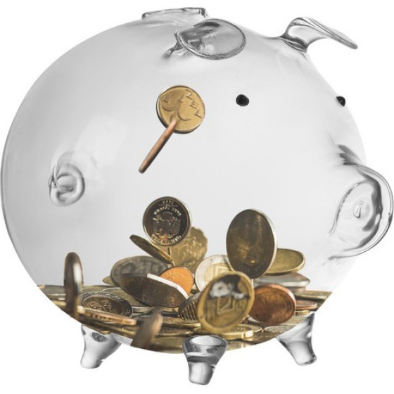 Ruhhy Piggy Bank - Glass Piggy 22588 - (16991-0)