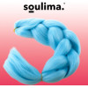 Soulima Synthetic Hair Braids - Blue - (14493-0)