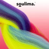 Soulima Synthetic Hair Rainbow Braids 23571 - (17538-0)