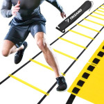 Trizand Training Ladder - (12442-0)