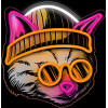 Forever Light Neon ART LED CAT DREAMER multicolor FLA04