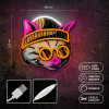 Forever Light Neon ART LED CAT DREAMER multicolor FLA04