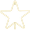Forever Light Neon LED CHRISTMAS PENTASTAR warm white FLNE22