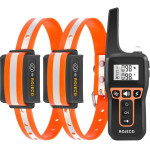Rojeco PD5291000m ������ ����������� ������ �� 2 ������ - (RJTCXGQYTE-06A0606)