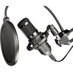 Art condenser microphone on a boom with a diaphragm AC-03 black