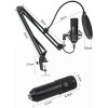 Art condenser microphone on a boom with a diaphragm AC-03 black