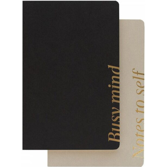 Erik ��� 2 ��������� �5 Kokonote Basic Studio Neutral Shades