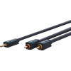 Clicktronic 3.5 Mm Aux To Rca Adapter Cable, Stereo - (70465)