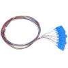 EXTRALINK SC/Upc | Pigtail Set | Single mode, 900um, G.657A1, 1m, 12 pcs, 12 Colours - (EX.0356)