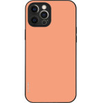 Sonique ���� Colorbloc Series ��� Apple Iphone 12 Pro Max ������