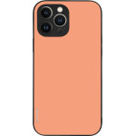 Sonique ���� Colorbloc Series ��� Apple Iphone 13 Pro Max ������