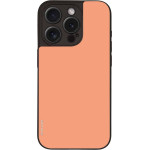 Sonique ���� Colorbloc Series ��� Apple Iphone 15 Pro ������