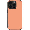 Sonique ���� Colorbloc Series ��� Apple Iphone 16 Pro ������