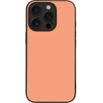 Sonique ���� Colorbloc Series ��� Apple Iphone 16 Pro ������