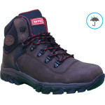 GTC ������� ���������� Trekking Ultra �o42 ��������� �� ������� ���������������� - (TrekkingUltra42)