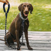 Purlov Reflective training leash 3m 21654 - (16653-0)